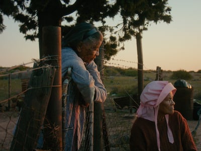 IFFR films submitted for the Oscars 