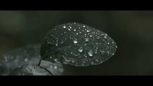 The Last Sparkle | Cinematic Film by Ahmar