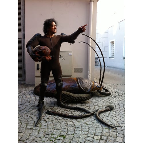 Big Bugs