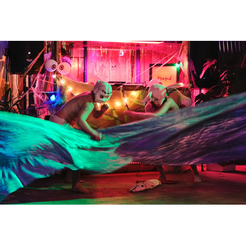 Doggerland performance 