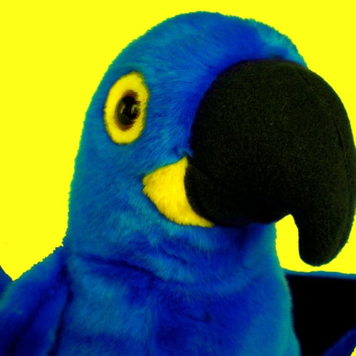 Placeholder image