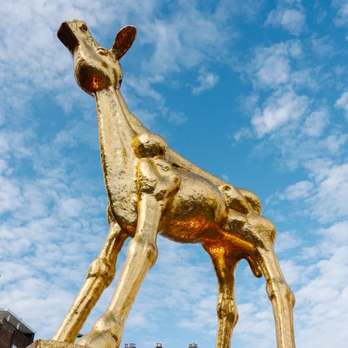 Placeholder image