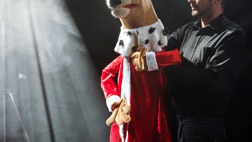 Jaar 2019 (seizoen onbekend)
