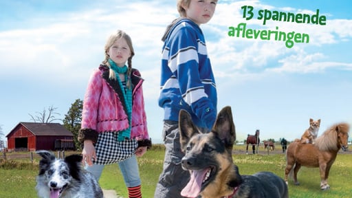 Jaar 2017 (seizoen onbekend)
