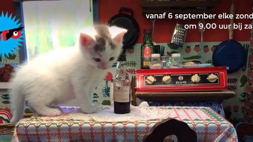Jaar 2015 (seizoen onbekend)