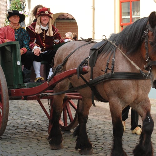 Middeleeuwse Hanzefeesten Doesburg