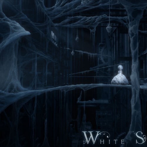 White swan
