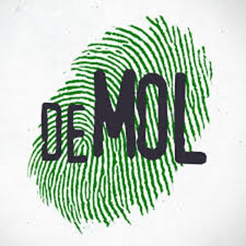 Wie is de Mol?