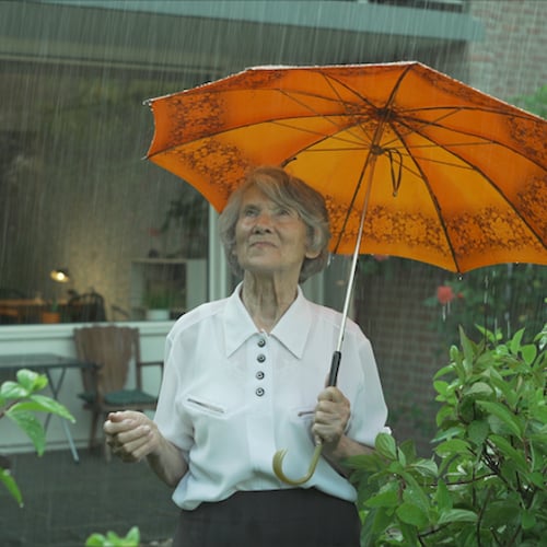 Bábushka Nina: Een reis naar thuis